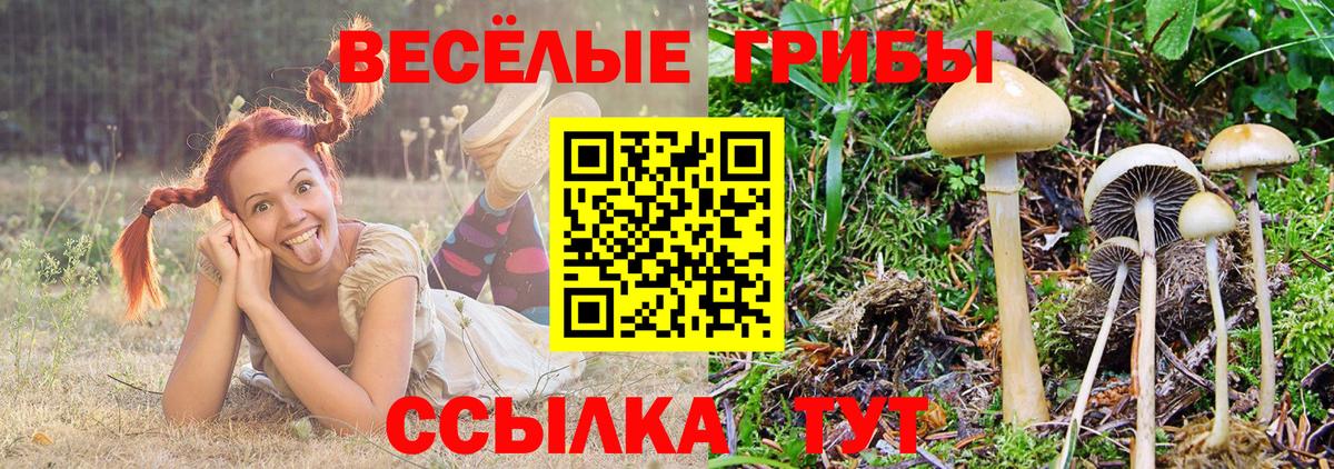Псилоцибиновые грибы мицелий  Вход с VPN  хочу   Пушкино 