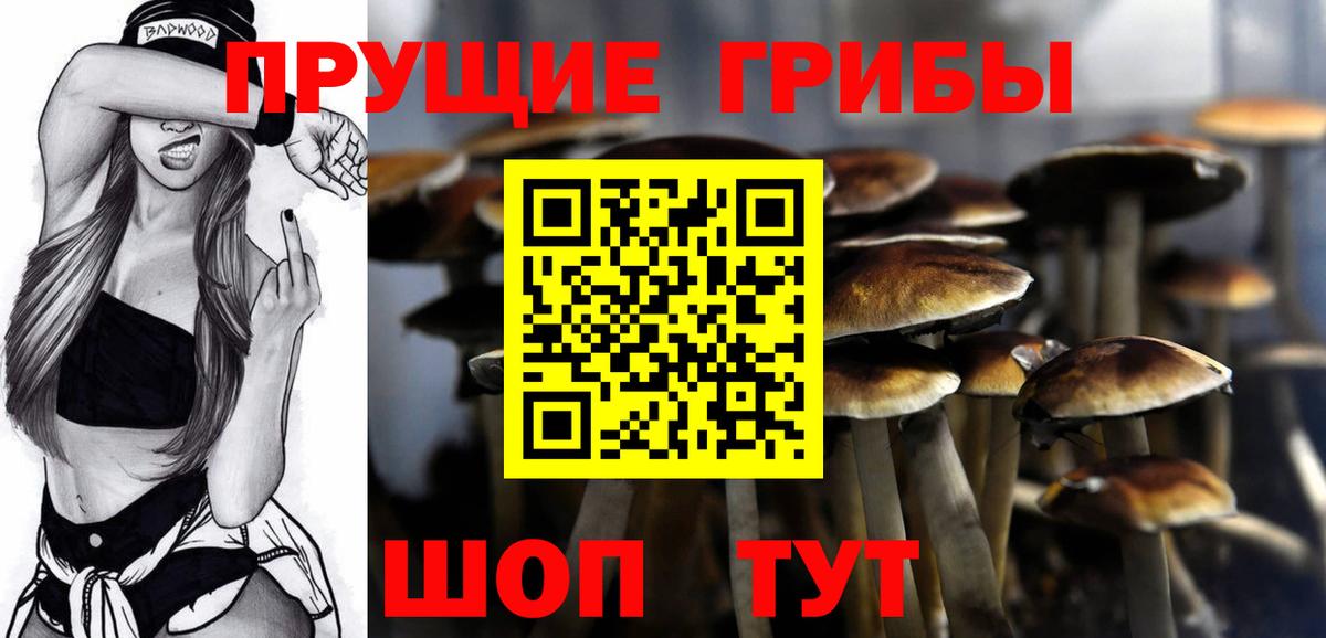 Галлюциногенные грибы GOLDEN TEACHER Пушкино